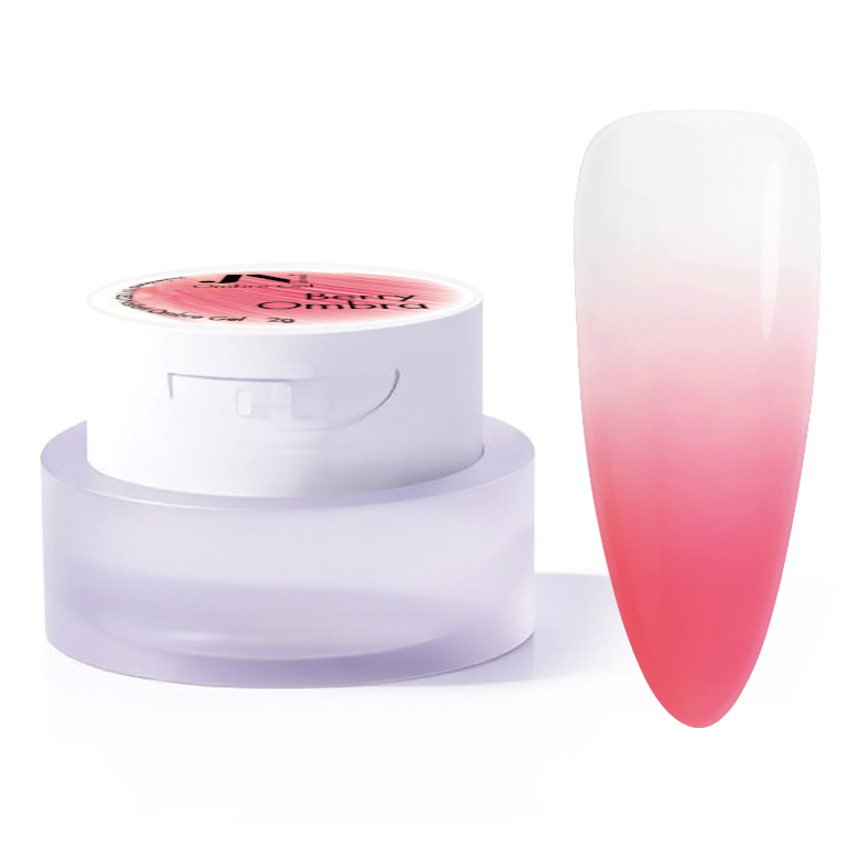  JUSTNAILS Nailartgel Ombre Gel - Berry Ombra 
